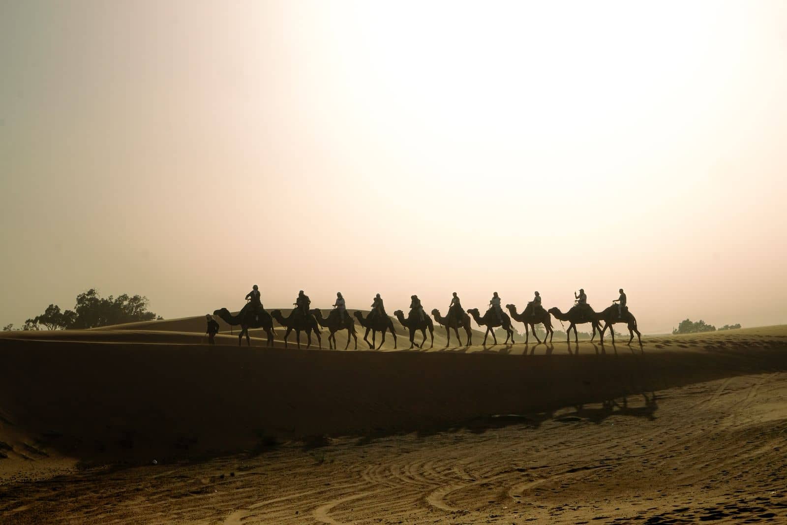 A camel caravan crossing desert dunes at sunset